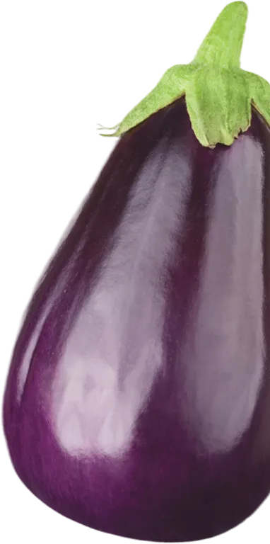 Eggplant